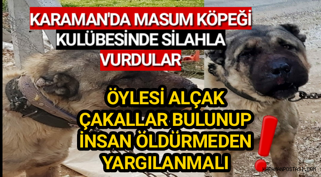 Öyle ŞEREFSİZLİK Olmaz !!!