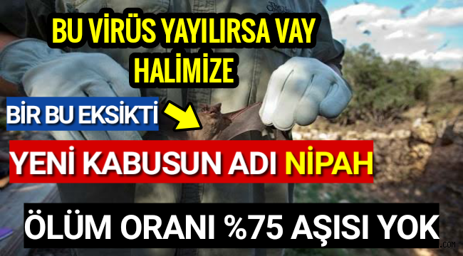 Koronavirüs Bitmeden Yeni Salgın Uyarısı NİPAH