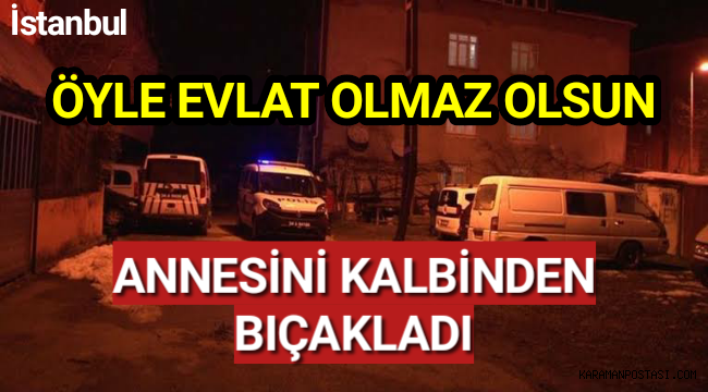 Öyle Evlat Olmaz Olsun Annesini Kalbinden Bıçakladı