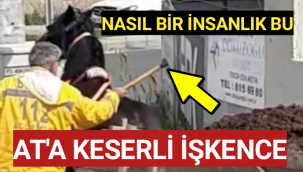Alçak Adam..At'a Keserle İşkence Yaptı