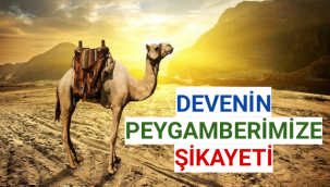 DEVENİN PEYGAMBERİMİZE ŞİKAYETİ