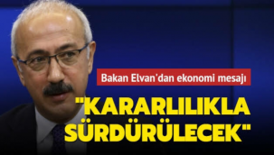 Elvan: Politikamızı fiyat istikrarını sağlamak için sürdüreceğiz