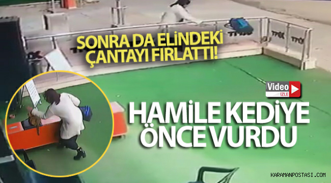 Hamile Kediye Vurdu,Hırsını Alamadı Çantasını Fırlattı