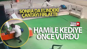 Hamile Kediye Vurdu,Hırsını Alamadı Çantasını Fırlattı