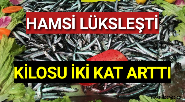 Hamsinin kilosu iki kat arttı