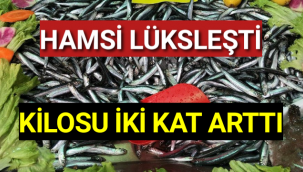 Hamsinin kilosu iki kat arttı
