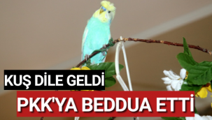 Kuş Dile Geldi, PKK'ya Beddua Etti