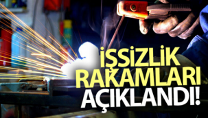 TÜİK, işsizlik rakamlarını açıkladı