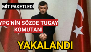 Ypg'nin sözde tugay komutanı yakalandı