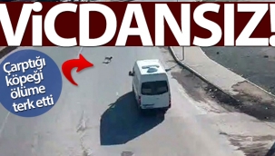 Çarptığı köpeği ölüme terk etti