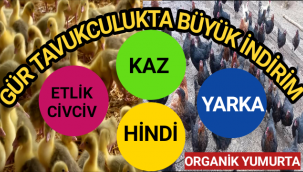Gür Tavukculuktan Ramazan İndirimi