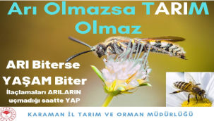 İLAÇLAMA İLE ARI ÖLÜMLERİNE KARŞI UYARI