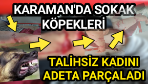 Karaman'da İşinden Evine Dönen Kadına,Sokak Köpekleri Adeta Parçalarcasına Saldırdı