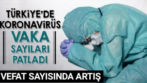Vaka Sayısı ve Vefat Sayısında Korkutan Rakamlar