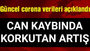 Vaka ve Ölüm Sayısında Korkutucu Rakamlar Açıklandı