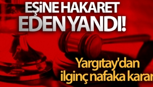 Yargıtay'dan ilginç nafaka kararı