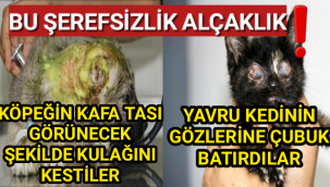 Böyle İnsanlık Olmaz!!! EL VİJDAN