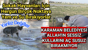 Karaman Belediyesi Sokak Hayvanlarını Unutmuyor,Yanlız Değiller...
