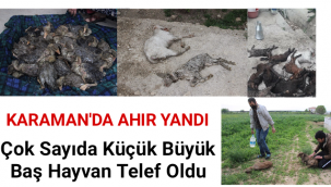 Karaman'da Ahırda Çıkan Yangında Çok Sayıda Hayvan Telef Oldu