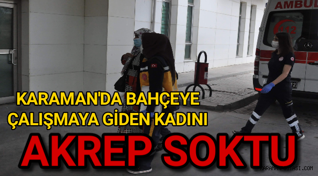 Karaman'da Bahçeye Çalışmaya Giden Kadını Akrep Soktu