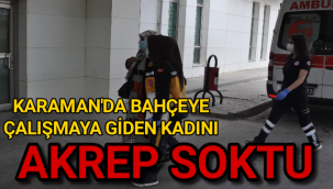 Karaman'da Bahçeye Çalışmaya Giden Kadını Akrep Soktu