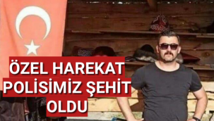 Teröristlerin saldırısında Özel Harekat Polisi Veli Kabalay şehit oldu
