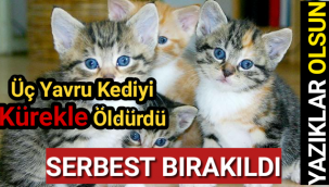 Üç yavru kediyi kürekle öldüren adam serbest bırakıldı
