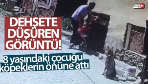 Yaramazlık yaptığı gerekçesiyle 8 yaşındaki çocuğu köpeklerin önüne attı