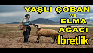 YAŞLI ÇOBAN VE ELMA AĞACI / Ramazanın ilk günü