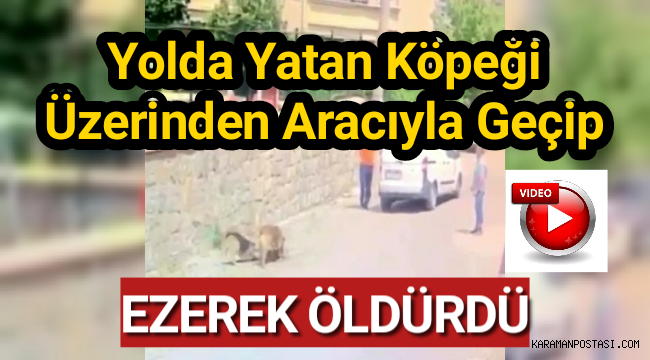 Yolda yatan köpeğin üzerinden aracıyla geçip ezdi