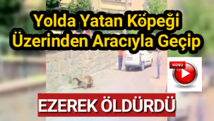 Yolda yatan köpeğin üzerinden aracıyla geçip ezdi