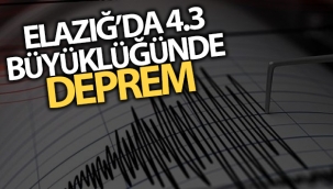 Elazığ'da 4.3 büyüklüğünde deprem