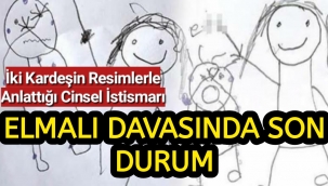 İki kardeşin resimlerle anlattığı cinsel istismar davasında son durum