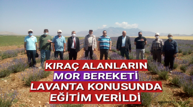 KIRAÇ ALANLARIN MOR BEREKETİ LAVANTA KONUSUNDA EĞİTİM VERİLDİ.