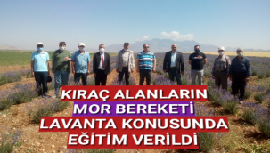 KIRAÇ ALANLARIN MOR BEREKETİ LAVANTA KONUSUNDA EĞİTİM VERİLDİ.