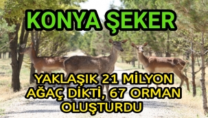 KONYA ŞEKER YAKLAŞIK 21 MİLYON AĞAÇ DİKTİ, 67 ORMAN OLUŞTURDU