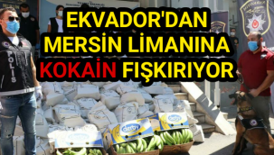 Mersin’de ele geçirilen kokainin miktarı 1 ton 300 kiloya çıktı