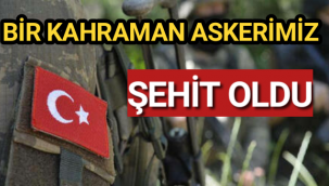 MSB Acı Haberi Duyurdu: 1 Asker Şehit Oldu