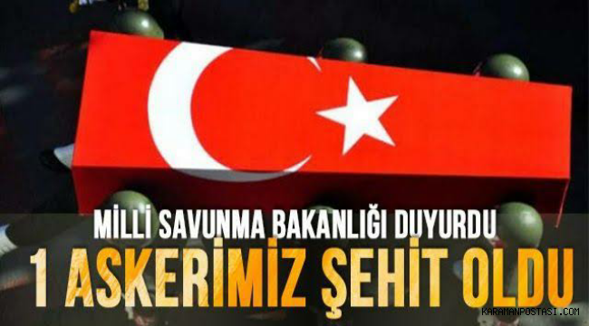 MSB duyurdu: Nusaybin’de 1 askerimiz şehit oldu