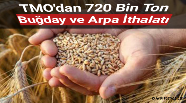 TMO'dan 720 bin ton buğday ve arpa ithalatı