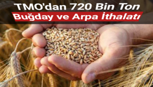 TMO'dan 720 bin ton buğday ve arpa ithalatı