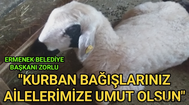 BAŞKAN ZORLU