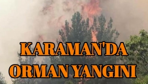 Karaman'da Orman Yangını
