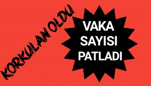 Korkulan Oldu Vaka Sayısı Patladı...