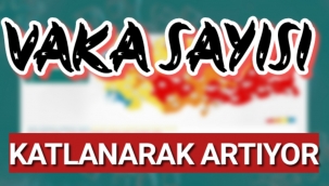 Vaka Sayısı Katnalarak Artmaya Devam Ediyor