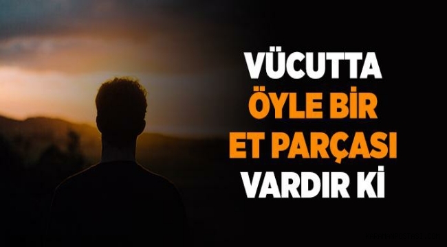 "Vücutta Öyle Bir Et Parçası Vardır ki" Hadisi Gündem Karaman Haber "Vücutta Öyle Bir Et Parçası Vardır ki" Hadisi Gündem Karaman Haber