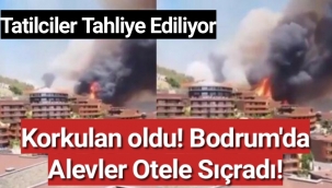 Yangın fırtınası Kütahya, Alanya, Didim ve Bodrum’a da sıçradı