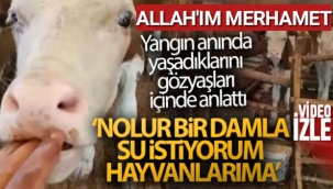 Yangında,Ölüm Anında Doğum Yapan İneğine ve Ölen Hayvanlarına Ağlayarak Yaşadıklarını Anlattı