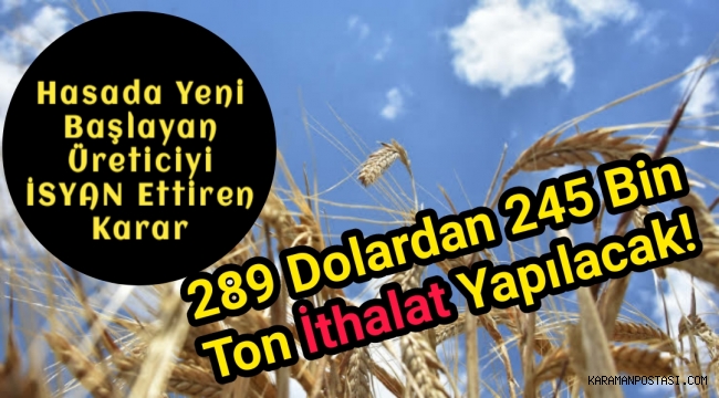 Arpa ithalatında 4'üncü ihale sonuçlandı! 289 dolardan 245 bin ton ithalat yapılacak!