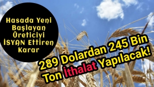 Arpa ithalatında 4'üncü ihale sonuçlandı! 289 dolardan 245 bin ton ithalat yapılacak!